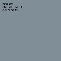 #808E97 - Oslo Gray Color Image